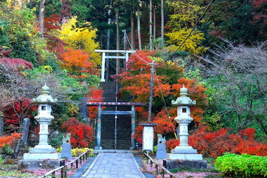 161205��Ĺ������2