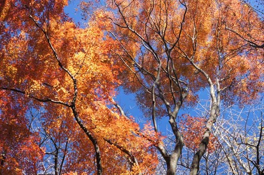 111217�����ë����1