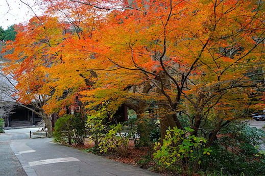 161225̯�ܻ�����2