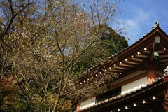 101127Ĺë�������