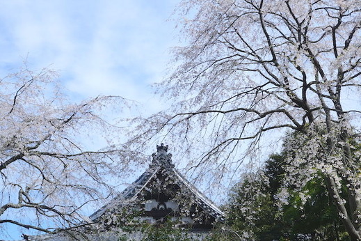 150329�¹����������쥶����