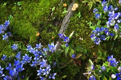 111109��¢�����ɥ�