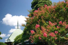 100804Ëܳлû¥µ¥ë¥¹¥Ù¥ê1