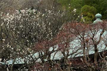 070210¾ô¸÷ÌÀ»û¥¦¥á