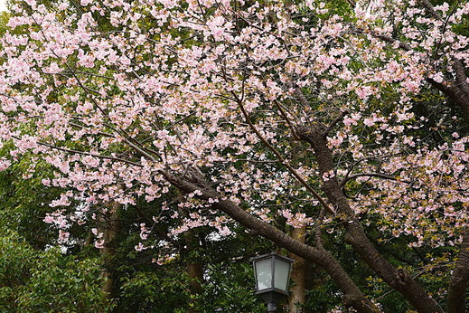 170315�ᲬȬȨ�ܥ�����2