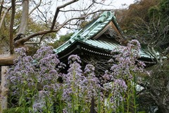 111109��¢��������