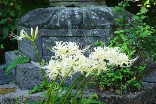 121002�Ѿ����ҥ���Х�2