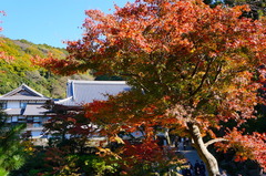 151201�߳л����գ�