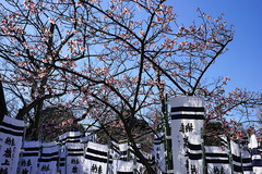 170215ÄᲬȬȨµÜ¥µ¥¯¥é