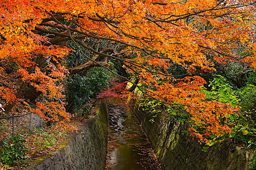 191215����������4