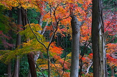 151223̯�ܻ�����2