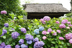 080628�˳ڻ���������