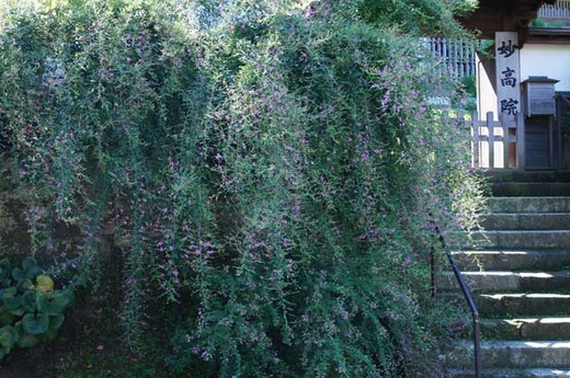 110914��Ĺ���ϥ�