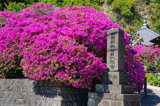 230427���ܱ��ĥĥ�2