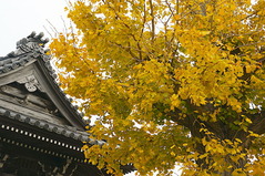 221217�ܳл�����1