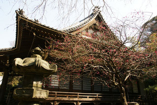 080308�¹������Υ���