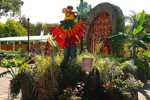 211020�ե����󥿡��ϥ�������