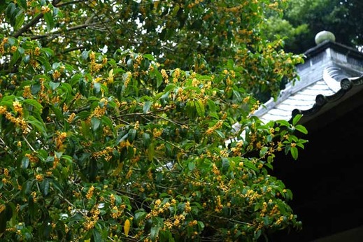 131004�߱�������⥯����2