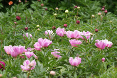 080512ζ�������㥯�䥯2