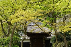 150412�߳л�����3