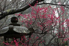 120317̯�ܻ�����
