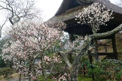 140305��Ļ�����2