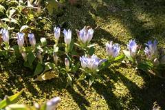 091103��¢�����ɥ�