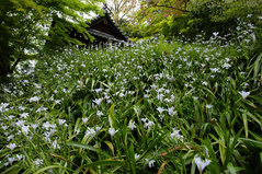 080413̯�ܻ����㥬