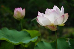 110723�ܳл��ϥ�2