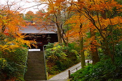 160111̯�ܻ�����1