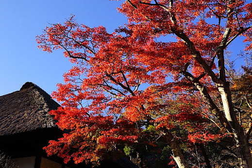 211201�߳л�����5