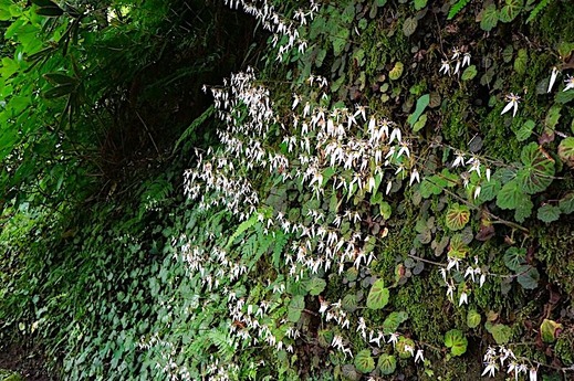 240607���һ��業�Υ���