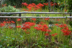 130923�Ѿ����ҥ���Х�2