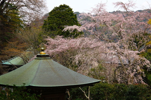 170329�¹����������쥶����