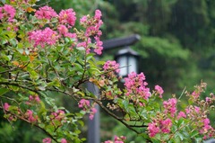 120814�ߵ׻����륹�٥�2