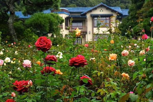 141023����ʸ�شۥХ�3