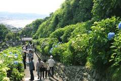 100612����������������