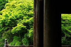 150505̯�ܻ�����