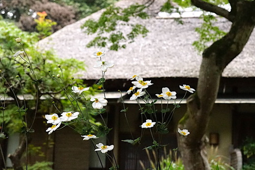 211016���һ����奦�ᥤ����2