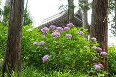 080618�߳л�����������