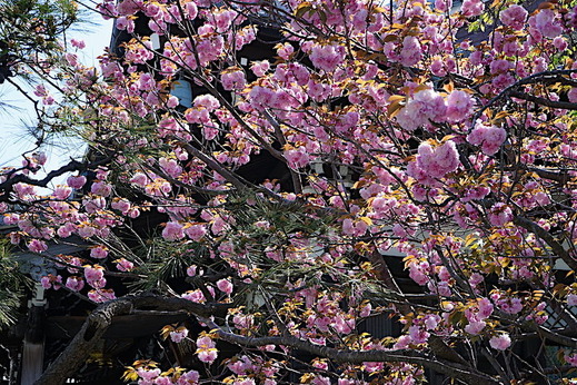 190415�ܳл��䥨������