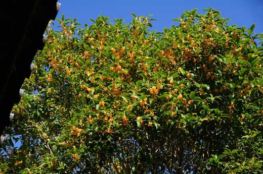 121016�߱�������⥯����3