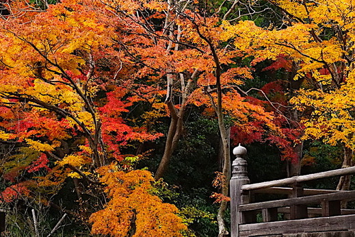 191219̯�ܻ�����2