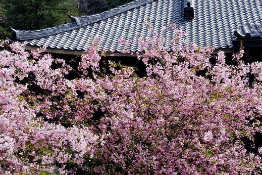 130401̯�ܻ������ɥ�