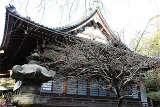 070211�¹���������