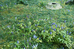 081109��Ļ����ɥ�