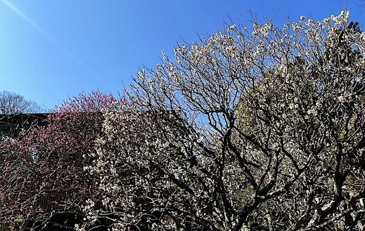 230218̯�ܻ�����1