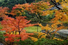 141201�߳л�����5