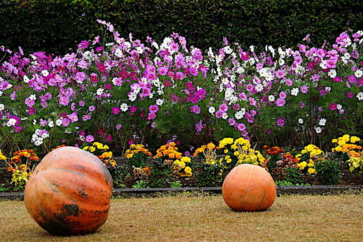 181104�����ե����󥿡������⥹1