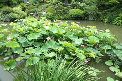 090708�������ϥ���